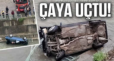 Otomobil çaya uçtu: 1 yaralı