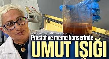 Prostat ve meme kanserinde umut ışığı