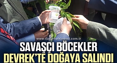 Savaşçı böcekler Devrek ormanlarında