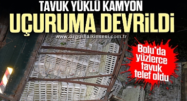 Tavuk yüklü kamyon uçuruma devrildi, yüzlerce tavuk telef oldu: 1 yaralı