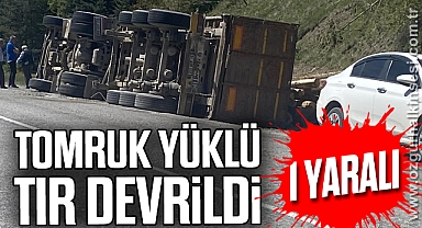 Tomruk yüklü tır devrildi: 1 yaralı