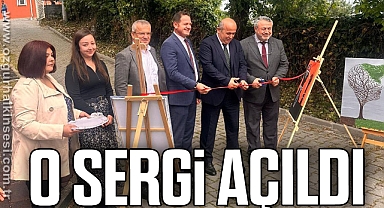 TOPLUM RUH SAĞLIĞI MERKEZİNDE RESİM SERGİSİ AÇILDI