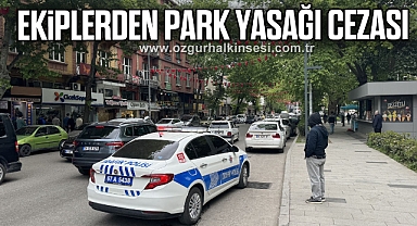 Trafik ekiplerinden park yasağı cezası