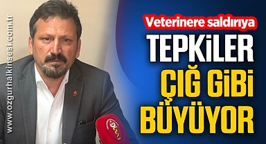 TVHB'den veteriner hekimlere yapılan saldırıyı kınama