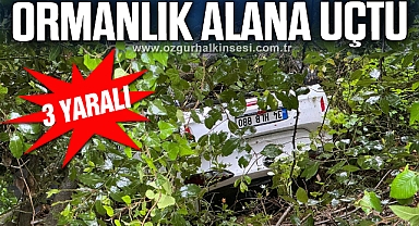 Virajı alamayan otomobil ormanlık alana uçtu