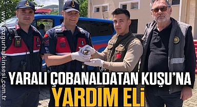 Yaralı çobanaldatan kuşu tedavi altına alındı