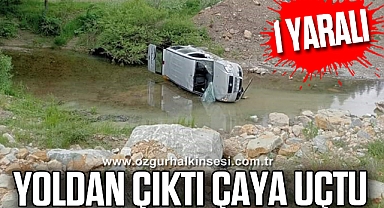 Yoldan çıkan kamyonet çaya uçtu: 1 yaralı