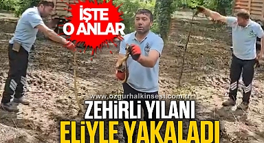 ZEHİRLİ YILANI ELİYLE YAKALADI İŞTE O ANLAR