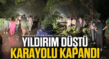 Ağaca yıldırım düştü, karayolu 1 saat ulaşıma kapandı