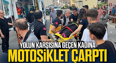 ALAPLI'DA KAZA