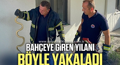 Apartmanın bahçesine giren yılan korkuttu