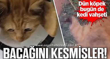 BACAĞINI KESMİŞLER!