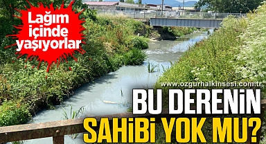 Bu derenin sahibi yok mu?