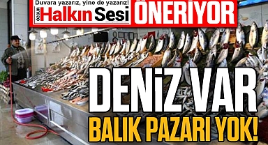 Deniz var, balık pazarı yok!