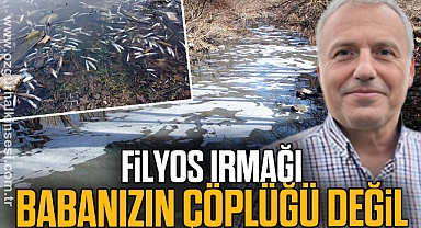 Filyos Irmağı babanızın çöplüğü değil
