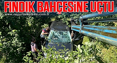 FINDIK BAHÇESİNE UÇTU