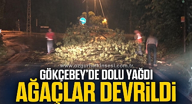 GÖKÇEBEY'DE DOLU YAĞDI AĞAÇLAR DEVRİLDİ
