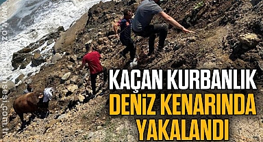 KAÇAN KURBANLIK DENİZ KENARINDA YAKALANDI
