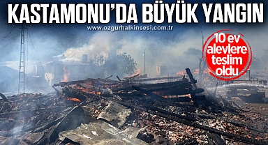 Köyde 10 ev alevlere teslim oldu