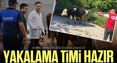 KURBAN YAKALAMA TİMİ KURULDU