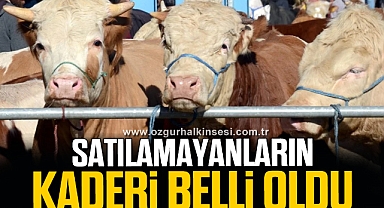 Kurbanlığım elde kaldı diye üzülme...