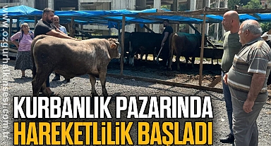 Kurbanlık pazarında hareketlilik başladı