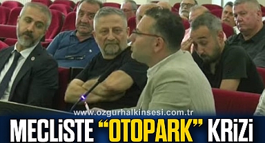 MECLİSTE “OTOPARK” KRİZİ