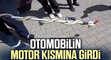 Otomobilin motor kısmına girdi