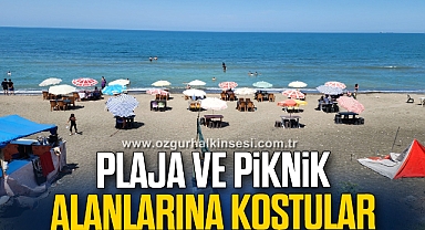 Sıcak havadan bunalan vatandaşlar plaja ve piknik alanlarına koştu