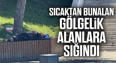 Sıcaktan bunalan gölgelik alanlara sığındı