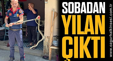 Sobadan yılan çıktı