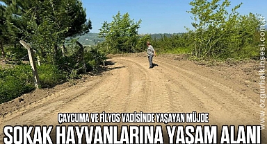 SOKAK HAYVANLARINA YAŞAM ALANI