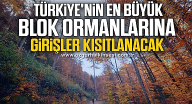 Türkiye'nin en büyük blok ormanlarına girişler kısıtlanacak