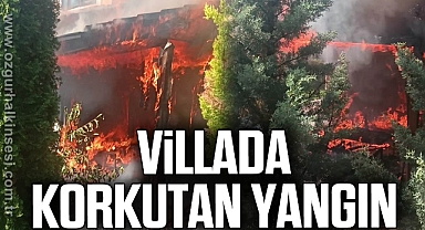 Villada korkutan yangın