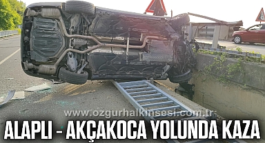 ALAPLI - AKÇAKOCA YOLUNDA KAZA: 1 YARALI