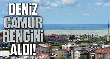 Alaplı'da deniz çamur rengini aldı