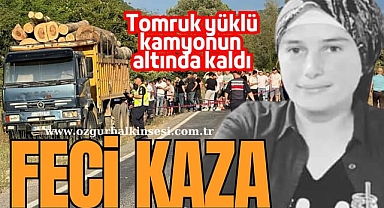 ALAPLI'DA FECİ KAZA
