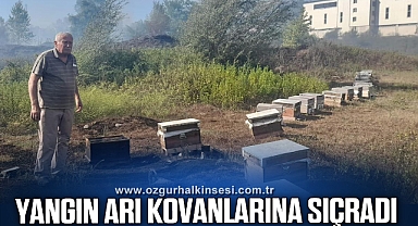 Yangın arı kovanlarına sıçradı!