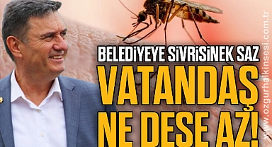 BELEDİYEYE SİVRİSİNEK SAZ VATANDAŞ NE DESE AZ!