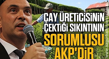 “ÇAY ÜRETİCİSİNİN ÇEKTİĞİ SIKINTININ SORUMLUSU AKP'DİR”