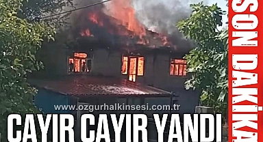 CAYIR CAYIR YANDI