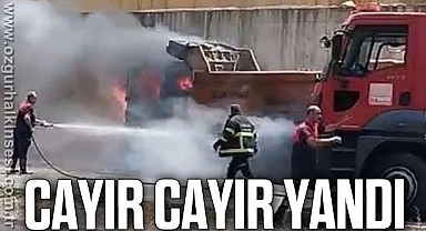 CAYIR CAYIR YANDI