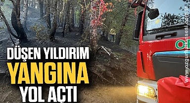DÜŞEN YILDIRIM YANGINA YOL AÇTI