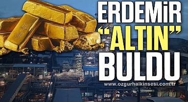 ERDEMİR