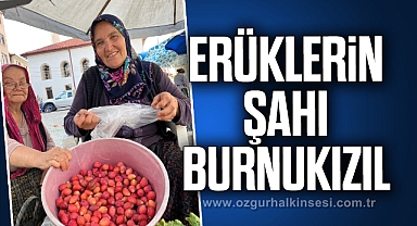 ERÜKLERİN ŞAHI BURNUKIZIL
