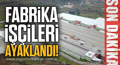 Fabrika işçileri ayaklandı!