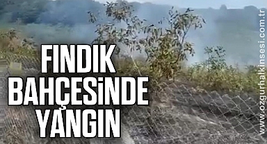 Fındık Bahçesinde Yangın