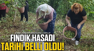 FINDIK HASADI TARİHİ BELLİ OLDU!
