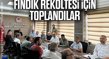 FINDIK REKOLTESİ İÇİN TOPLANDILAR