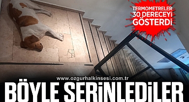 İki kafadar soluğu giyim mağazasında aldı
